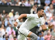 开云棋牌下载-温网碾压戴维斯杯，德约科维奇状态火热