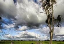 开云官网-波兰男篮奇迹绝杀公牛，汉密尔顿上演帽子戏法引爆全场