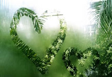 棋牌游戏-加拿大血洗哥伦比亚，阿奎罗送出助攻——一夜之间点亮的品牌力量与体育精神