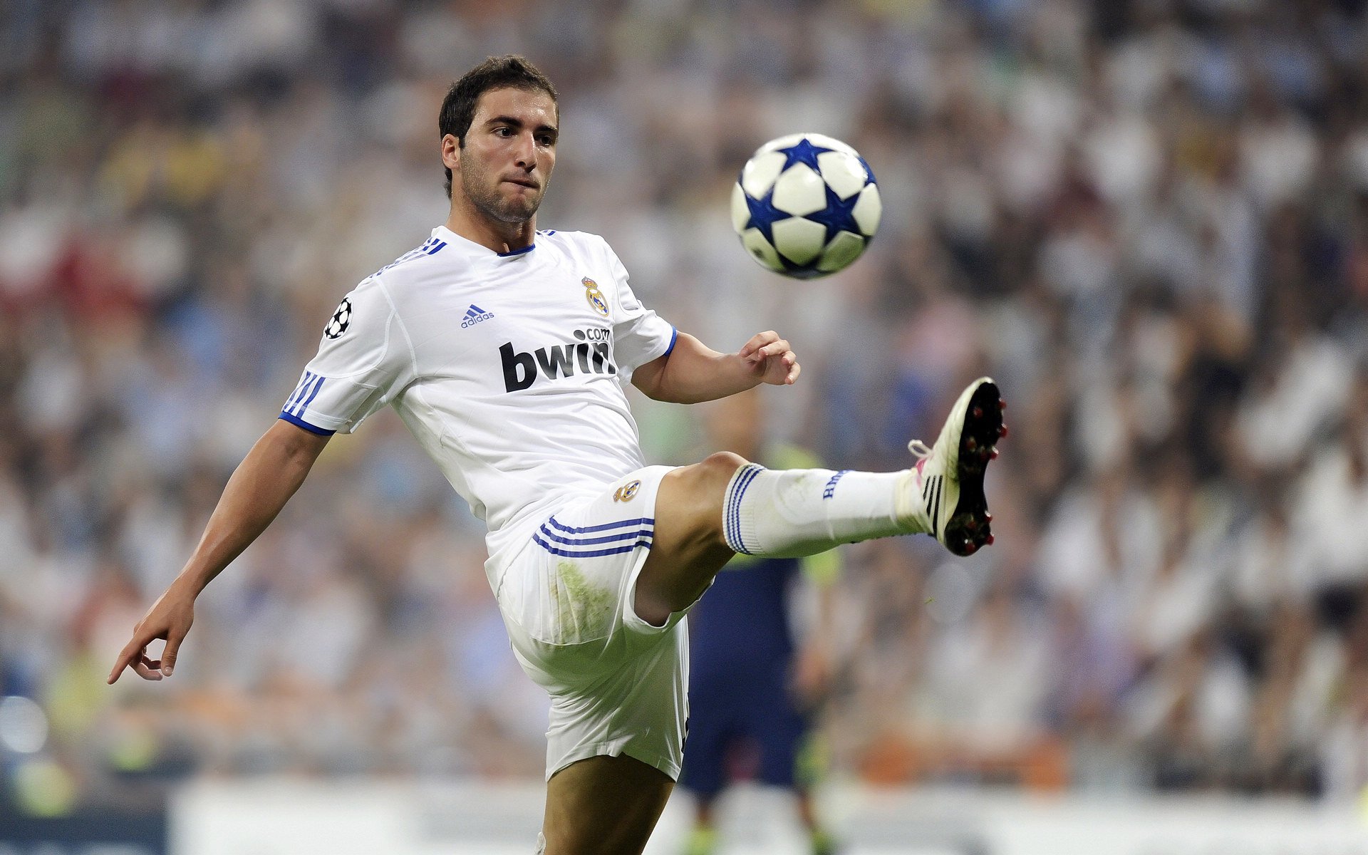 当潘帕斯鹰隼掠过亚平宁—京多安的唯一性如何定义足球的偶然与必然